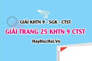 Giải KHTN 9 trang 25 Chân trời sáng tạo SGK